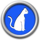 Cat names list for black cats & kittens. Unique names for black cats